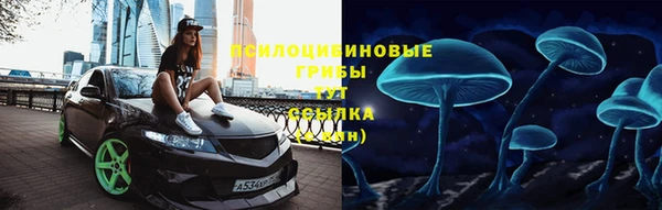 молекула духа Аркадак