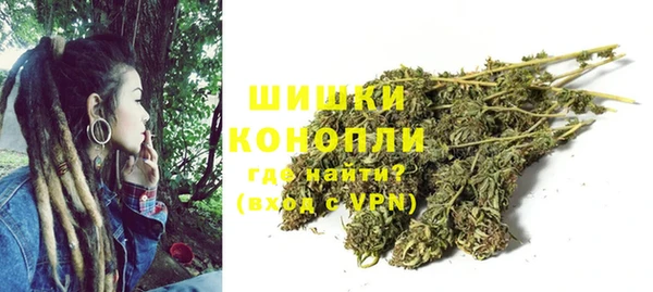 ПСИЛОЦИБИНОВЫЕ ГРИБЫ Сосновка
